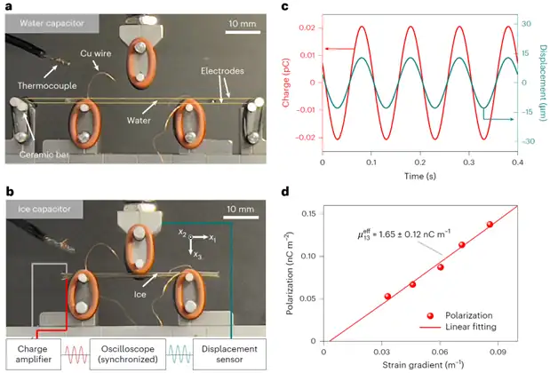 Flexoelectricity in Ice