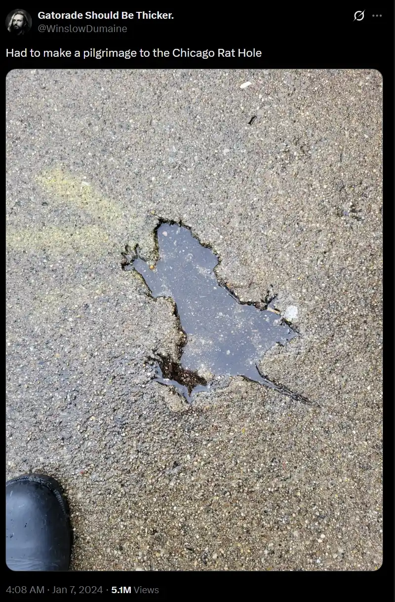 On a sidewalk in Roscoe Village, the cement bears a strikingly vivid “rat hole” imprint—front paws, hind paws, and even the trace of a long slender tail. This is Chicago Rat King